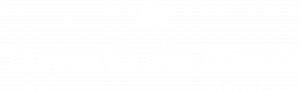 zzg_logo_quer